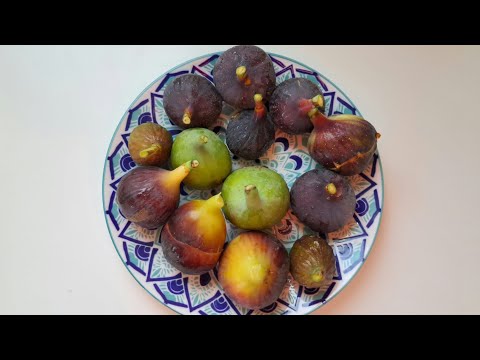 Видео: Инжир в ноябре на Кипре. 