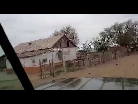 Видео: 4 июня 2019 г.