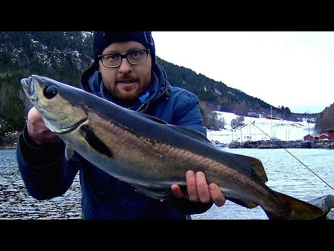 Видео: О ТАКОМ НАЧАЛЕ СЕЗОНА 2023 МОЖНО ТОЛЬКО МЕЧТАТЬ!! ЭТО ФЕЕРИЧЕСКАЯ РЫБАЛКА!! Рыбалка в Норвегии 2023