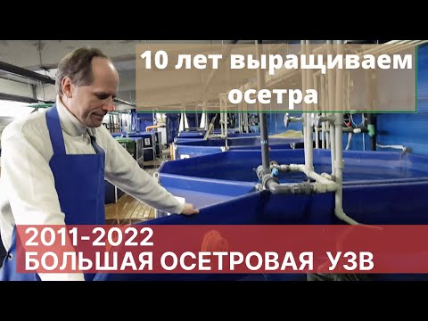 Видео: Большая осетровая УЗВ 2011-2022 под г. Ригой | Akva Ferma