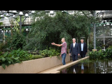 Видео: Ботанический сад им.Цицина // Фондовая оранжерея