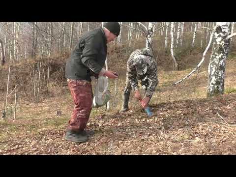 Видео: Гора Лысая