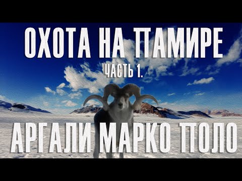 Видео: Охота на Памире. Часть 1. Аргали Марко Поло./ Hunt in Pamirs. Part #1. Marco Polo Argali.