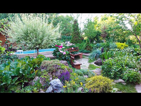 Видео: 6 соток / ОБЗОР/ Август 2019г / НАС не БЫЛО ТРИ НЕДЕЛИ...