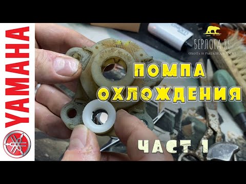 Видео: РЕВИЗИЯ ПОМПЫ ОХЛАЖДЕНИЯ YAMAHA FT60D!!!!!