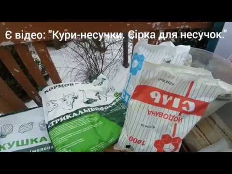 Видео: ПТАХІВНИЦТВО ДЛЯ ПОЧАТКІВЦІВ.  Кури , качки, індики і ВСЕ НАЙКОРИСНІШЕ для них. Мінеральні добавки.