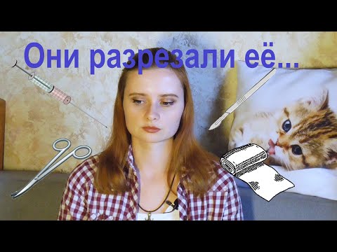 Видео: Стерилизация кошки. Лапароскопия. Наш опыт