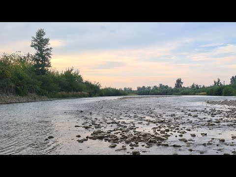 Видео: Де Зараз Клює. Рибалка На Пруті, початок серпня