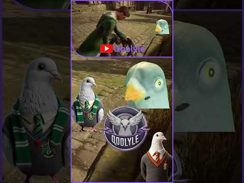 Видео: Глажу кота № 18 #qoolyle #shorts #хогвартс #hogwarts #игры #прохождение #рек #реки #голубь