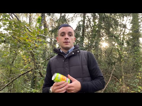 Видео: Ein Mann: О жизни в Германии. Плюсы и минусы жизни в Германии. Как набрать популярность в ТикТок