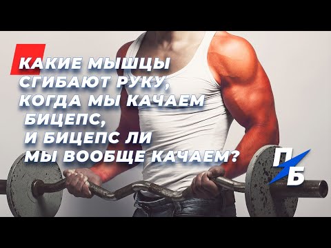 Видео: Как накачать бицепс, а не предплечье. Какие мышцы на самом деле сгибают руку. Миография. Техника 54