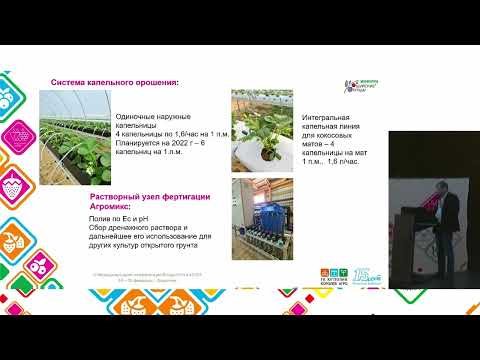 Видео: 12 Опыт выращивания ягод в высоких туннелях в 2021 г малина на грунте   до 20 тга, земляника в субст