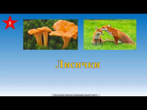 Видео: Слова, однакові за звучанням, проте різні за значенням