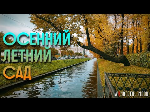 Видео: В Летний сад только осенью | Прогулка по желто-красному Петербургу | 2024