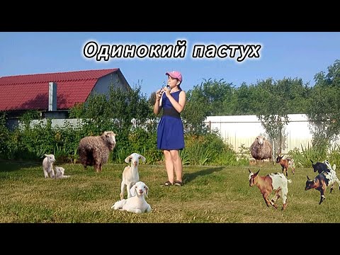 Видео: Одинокий пастух на блокфлейте / The lonely shepherd