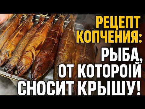Видео: РЫБА В ДЫМУ! 7 КГ РЫБЫ В ОДНОЙ КОПТИЛЬНЕ, ЭТОТ РЕЦЕПТ ПОРАЗИТ ТЕБЯ!