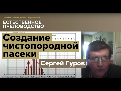Видео: Создание чистопородной пасеки (среднерусская пчела).