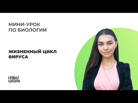 Видео: НШ | Биология. Жизненный цикл вируса