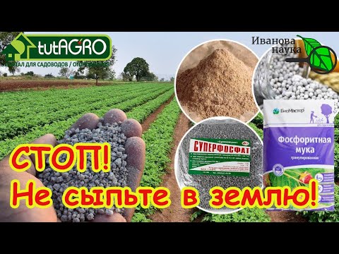 Видео: ВАМ 100 ЛЕТ НЕ НУЖНЫ ЭТИ УДОБРЕНИЯ! Не тратьте деньги и не сыпьте эти удобрения, сперва разберитесь.