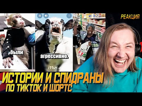 Видео: ТикТок и Шортc - Истории от i11ushenka - Животные тупо ни за что получили! (РЕАКЦИЯ) | ТипоТоп