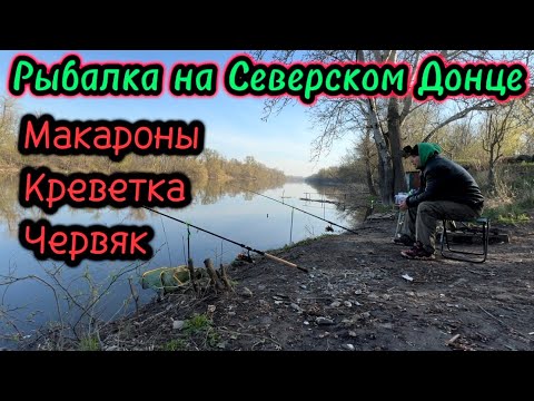 Видео: Весенняя рыбалка на реке 2024 Северский Донец