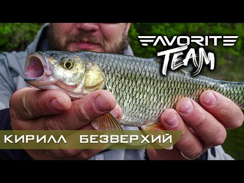 Видео: Голавль на блесну! Поиск и тактика ловли. Favorite Team