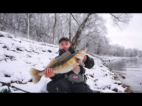 Видео: ЛОГОВО СУДАКА. Зимний СПИННИНГ на Москва-реке 2024г.