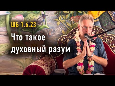 Видео: 2024-05-12 - ШБ 1.6.23 - Что такое духовный разум