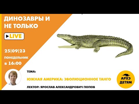 Видео: Занятие "Южная Америка: эволюционное танго" кружка "Динозавры и не только" с Ярославом Поповым