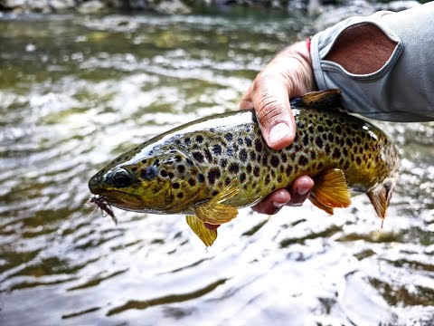 Видео: Направи си сам, хвани си сам. Съвети за риболов с #KillerBug.  Trouts Fishing