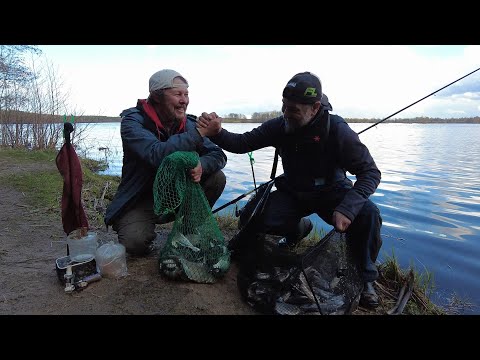 Видео: Ловля весенней густеры на фидер. Волга.