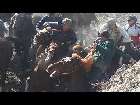 Видео: Улок купкари сух 05 01 2020