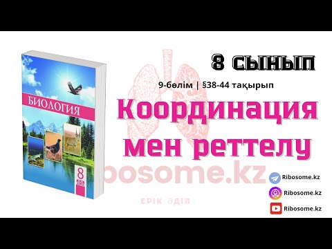 Видео: 8-сынып Координация мен реттелу §38-44 тақырып 9-бөлім / Ribosome.kz / Ерік Әділ