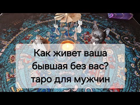 Видео: Как живёт ваша бывшая без вас? 🧐Таро для мужчин