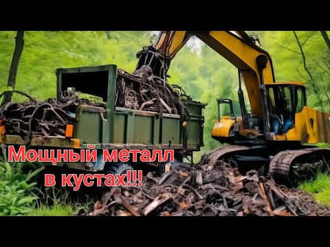 Видео: Мощные плюшки лежали в кустах.Металлокоп на каракате.