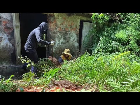 Видео: Страшная уборка дома после наводнения природой | Потрясающие фото до и после
