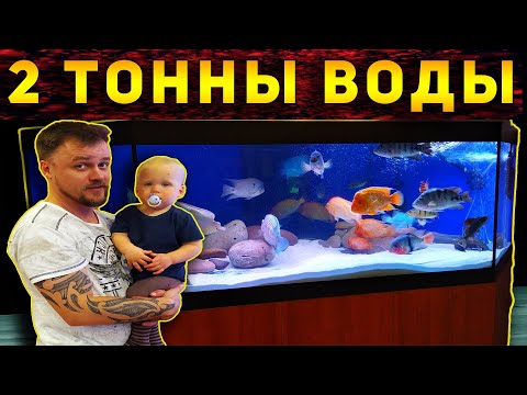 Видео: ОГРОМНЫЙ АКВАРИУМ НА 2000 ЛИТРОВ!