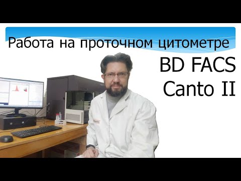 Видео: Работа на проточном цитометре. BD FACS Canto II. Fluorescence-activated Cell Sorting. Manual.