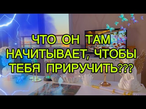 Видео: 😈Шок...каких отношений он хочет? Какие его намерения на тебя? 🖤Таро🦋