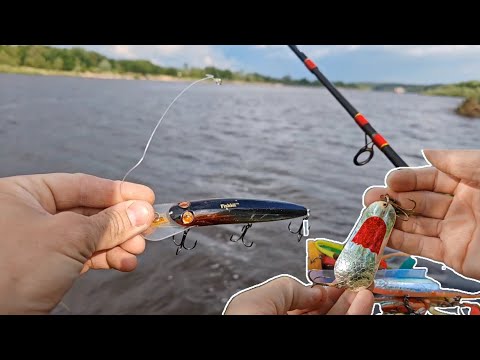 Видео: Рыбалка на Припяти - ВОДА ПРИБЫВАЕТ! Скоро не будет места для рыбалки!
