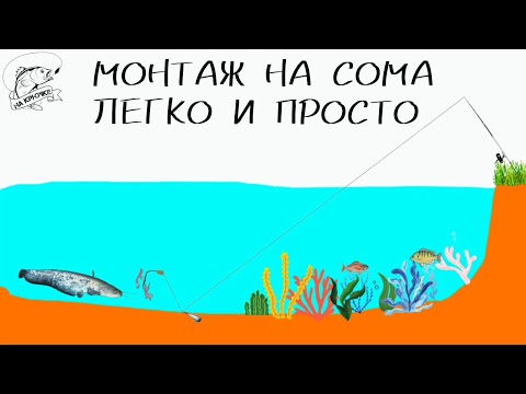 Видео: Монтаж для ловли сома с берега с подводным поплавком. #рыбалка #fishing #сом