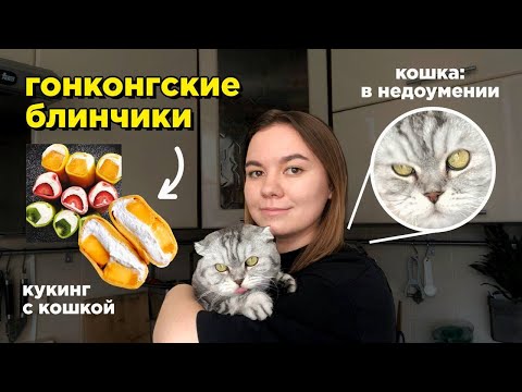 Видео: пеку гонконгские блинчики с кошкой 🥞 🐈 🥭