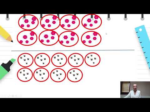 Видео: II одделение -  Математика -  Броење нанапред по 2,5 и 10