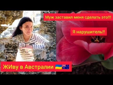 Видео: ЖИВУ В АВСТРАЛИИ 🇺🇦🇦🇺. Муж заставил меня сделать это!! Нарушаю  местные законы #жизненныеистории 