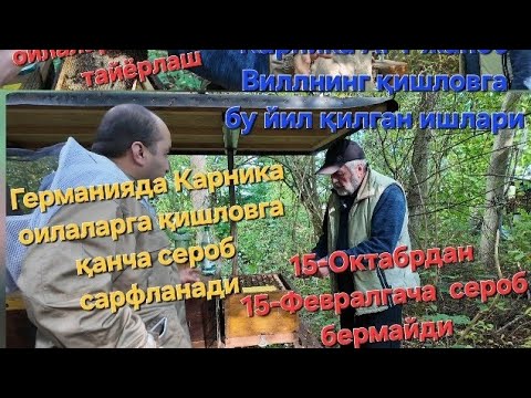 Видео: Бу сафар карника зоти мисолида Германияда қишловга асалари оилаларини қишловга тайёрлаш. @BeeLoNa1 
