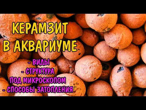 Видео: КЕРАМЗИТ В АКВАРИУМЕ. МОЖНО ИЛИ НЕТ?