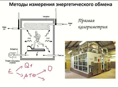 Видео: Энергообмен