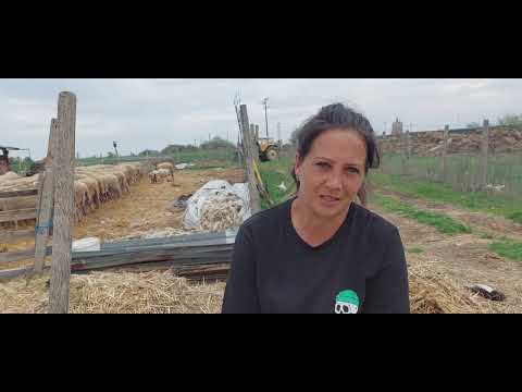 Видео: "Богатата" Мария: Овцевъдката не може да получи детски, а четирите й деца – стипендии