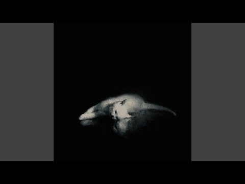 Видео: Как дура плачу, думаю о нем