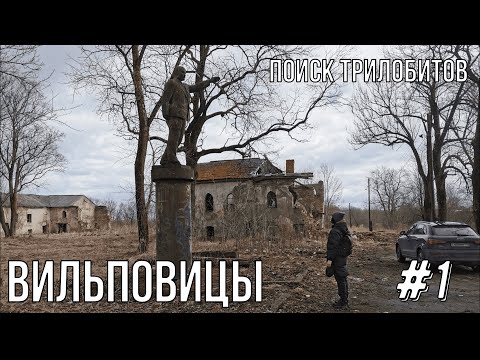 Видео: Поиск трилобитов карьер Вильповицы  /Searching for Trilobites.